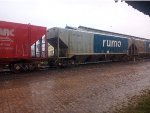 RUMO HPT-033683-1